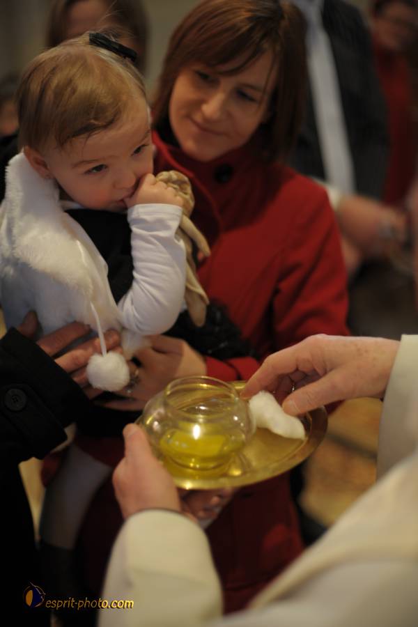 Nom de l'image : D30089212.JPG_(c)Norbert-JUNG — Description :